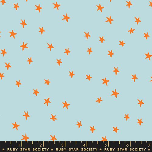 Ruby Star Society Starry 2025, Polar