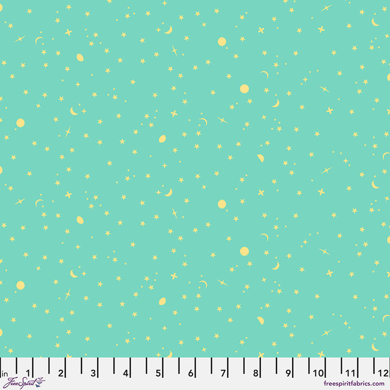 Tula Pink's 2025 True Colors - Space Sprinkle, Seaglass Colorway