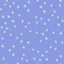 Ruby Star Society Starry 2024 Dusk