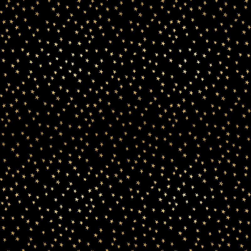 Ruby Star Society Starry 2024 Mini Black Gold Metallic