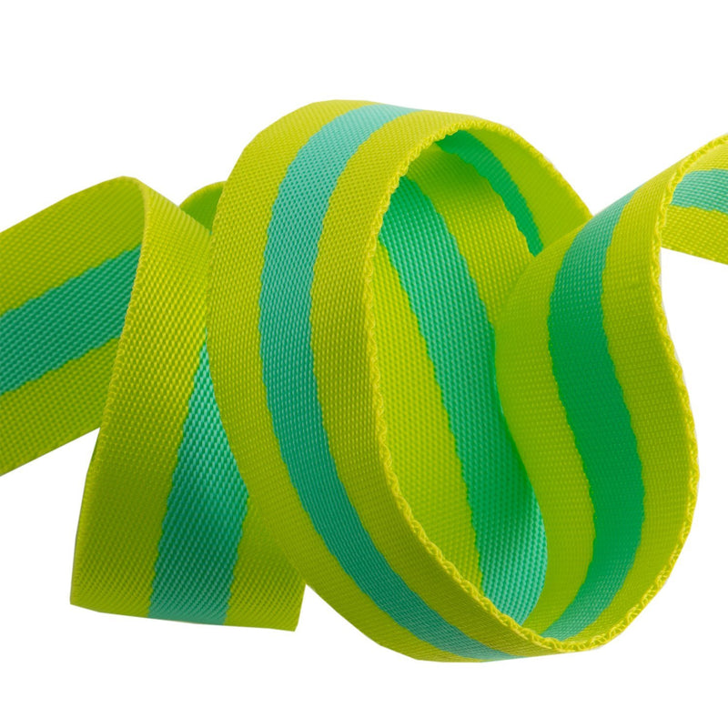 Tula Pink's 1.5" Lime & Turquoise Nylon Webbing, By the Yard