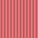Tula Pink's Neon True Colors, Tent Stripe Nova
