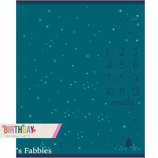 Birthday - Milestone Panel Teal Baby Calendar