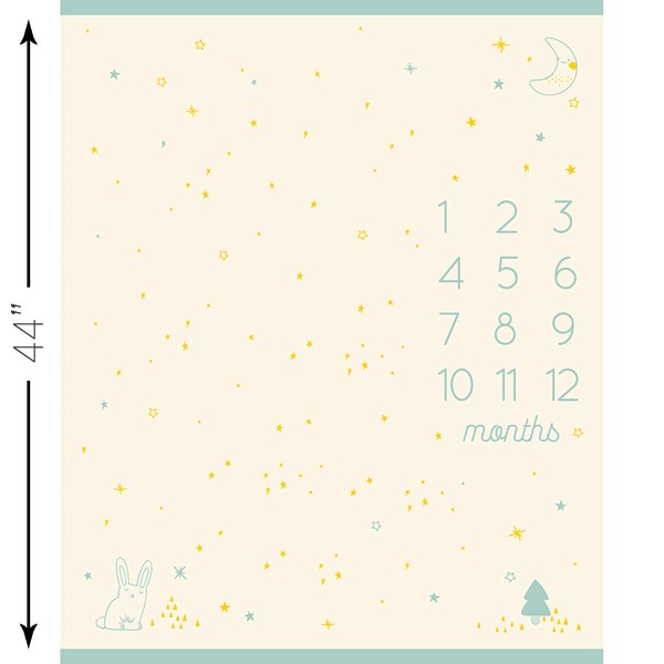 Birthday - Milestone Panel Buttercream, Baby Calendar