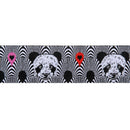 Tula Pink Linework Panda Lovers 1-1/2" Ribbon