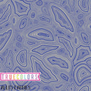 Tula Pink's True Colors - Mineral, Sapphire