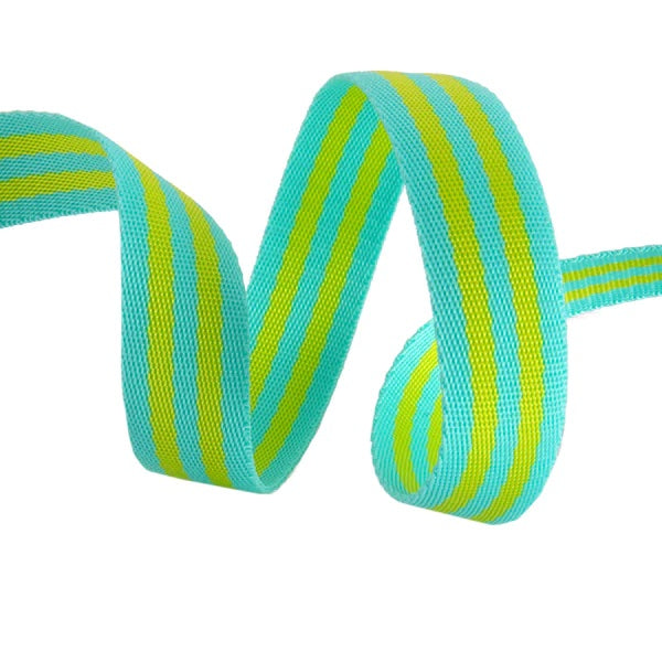 Tula Pink's 1" Teal+Lime Nylon Webbing, By the Yard