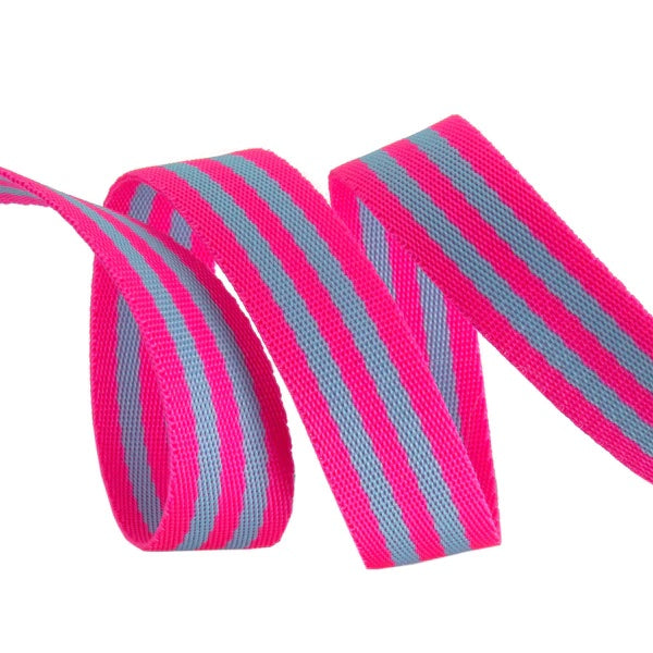 Tula Pink's 1" Aqua+Pink Nylon Webbing, By the Yard